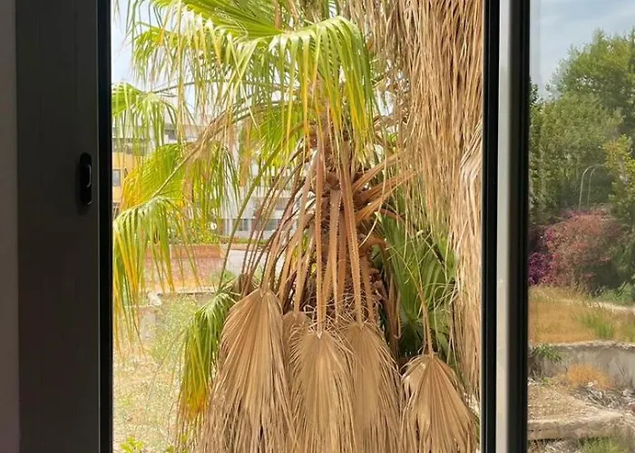 A 30 Metro De La Playa Con Piscina Y Garaje En La Carihuela * Torremolinos